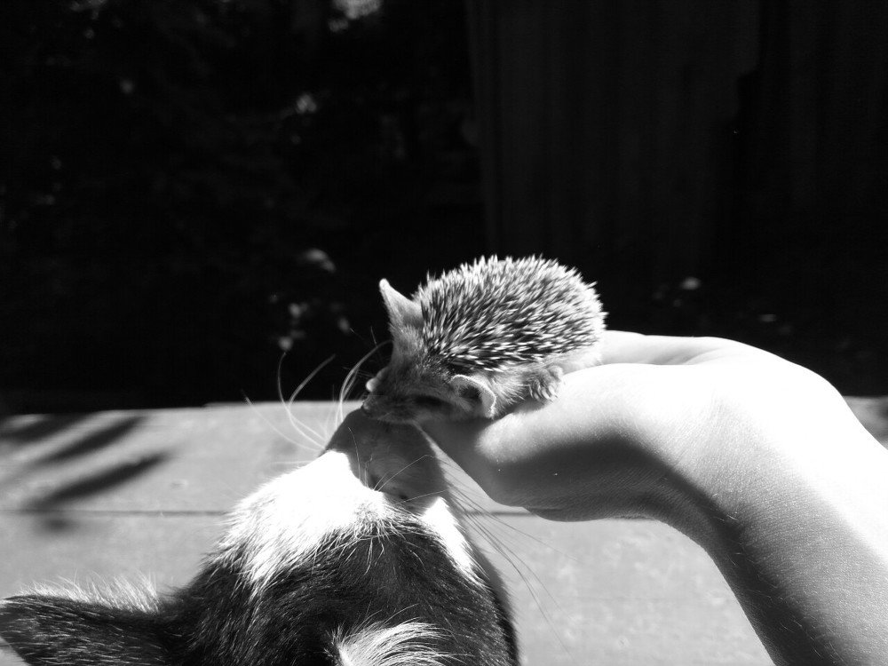 Photograph by Дарья Юсарева