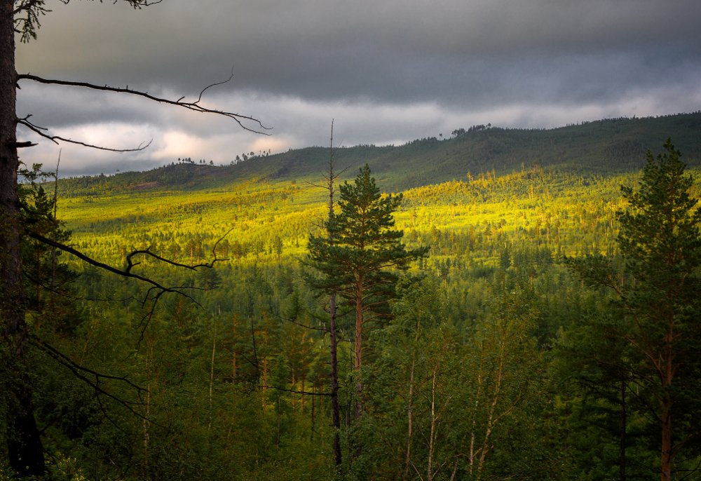 Photograph by Сергей Андреев