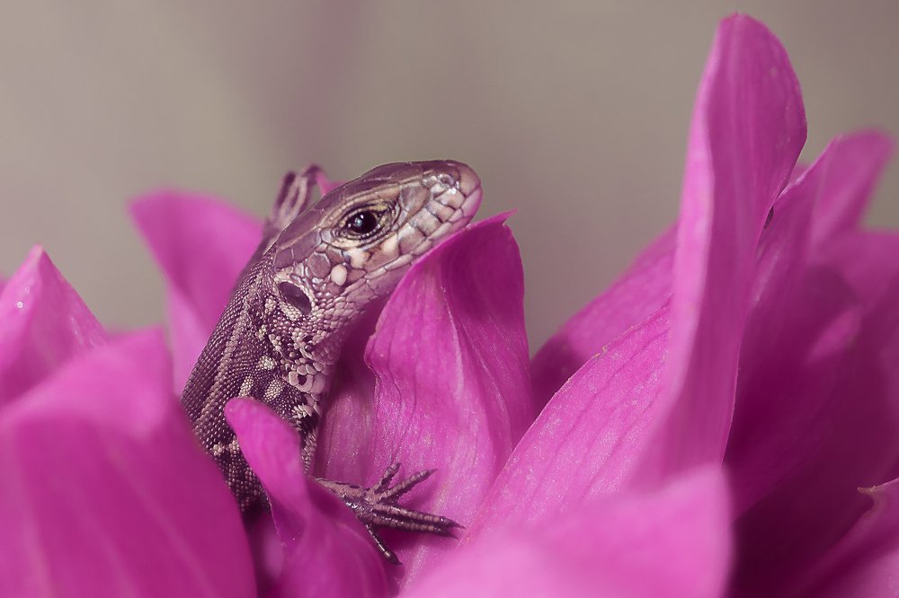 Photograph by Алексей Козлов