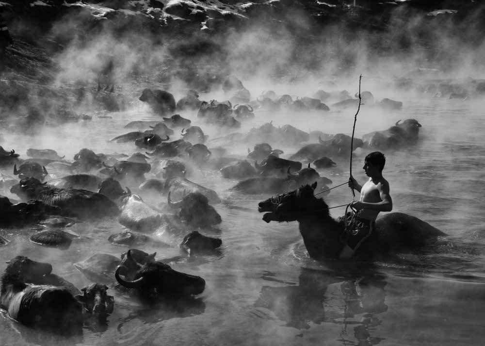 Photograph by Nesrin Ates