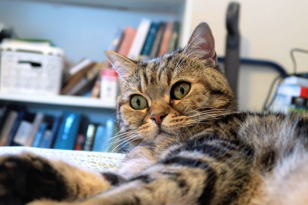 Photograph by Nikolay Hovich