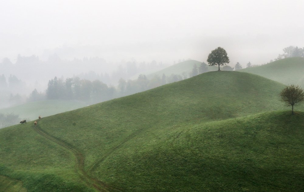 Photograph by Галина Хвостенко