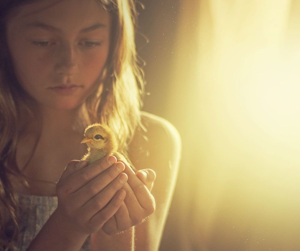 Photograph by Anette Kvarenes-tyler