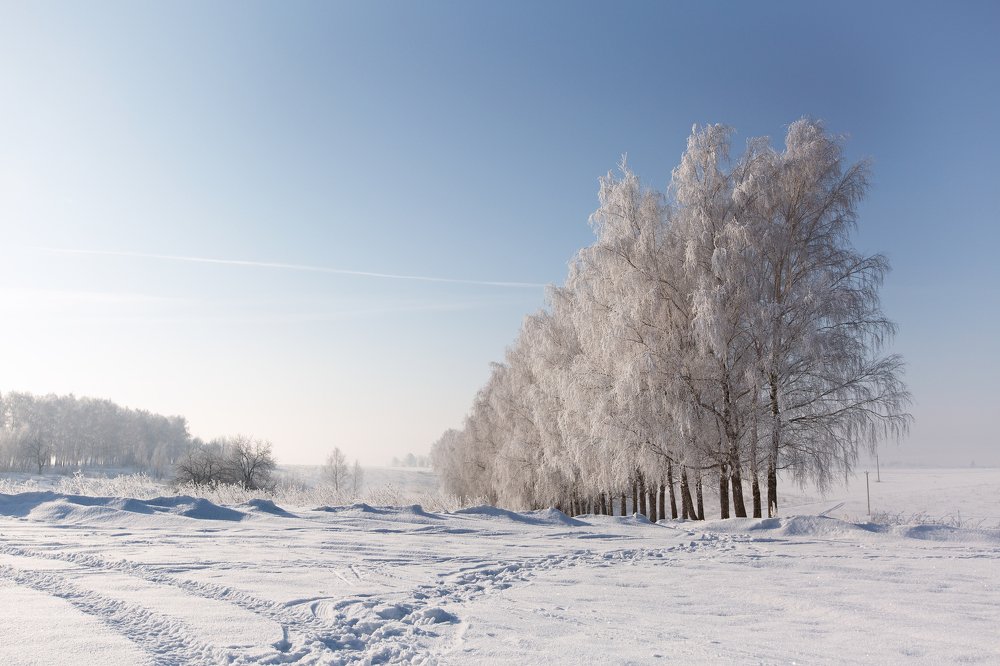 Photograph by Юлия Корягина