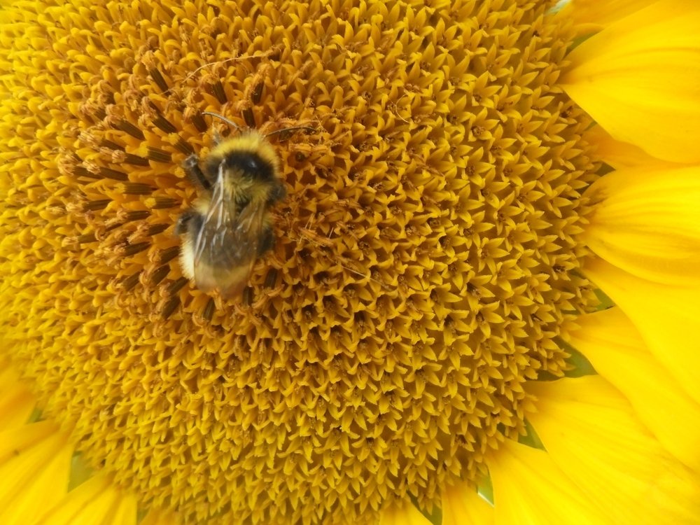 Photograph by Лилия Исхакова