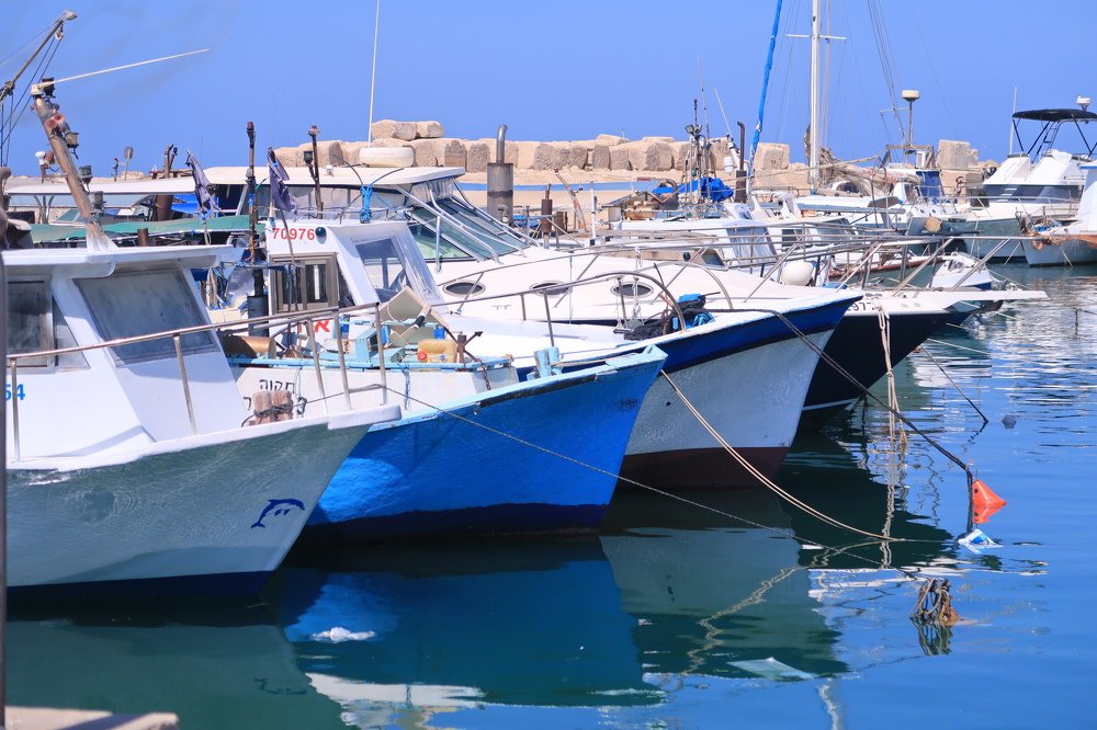 Photograph by Nikolay Hovich