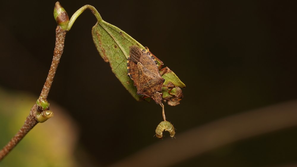 Photograph by Андрей Шартов