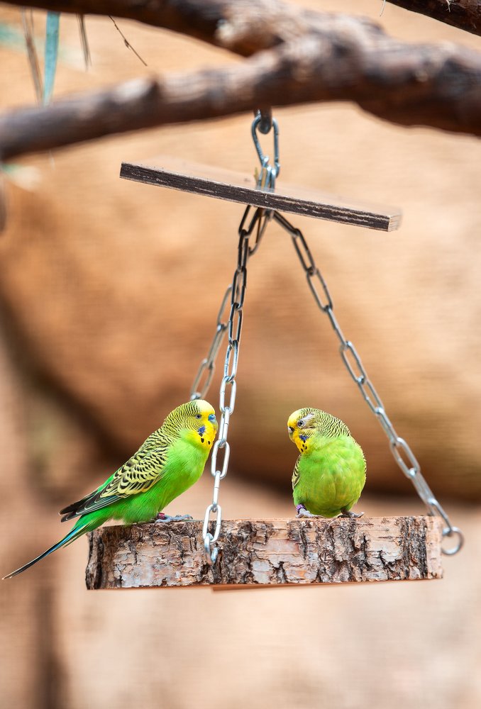 Photograph by Юлия Борт