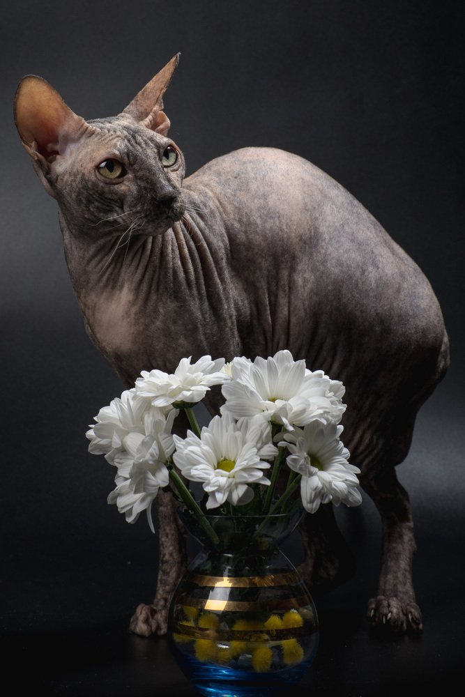 Фотография автора Вячеслав Владимирович