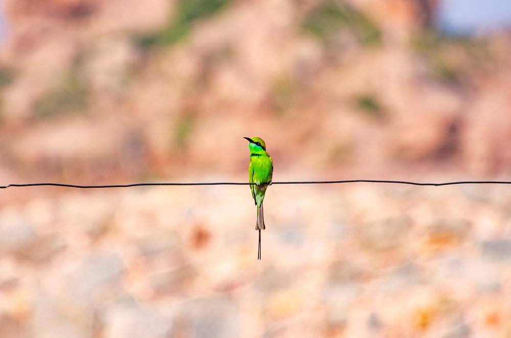 Photograph by Василь Камалов