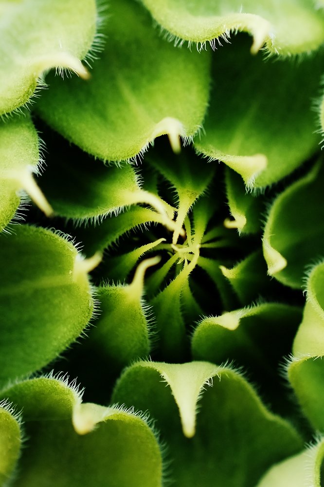 Photograph by Василь Камалов