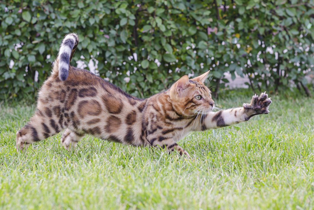 Photograph by Дмитрий Пискарев