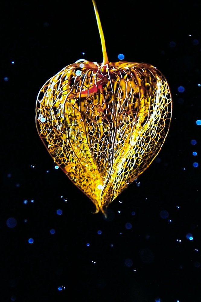 Photograph by Александр Татаринцев