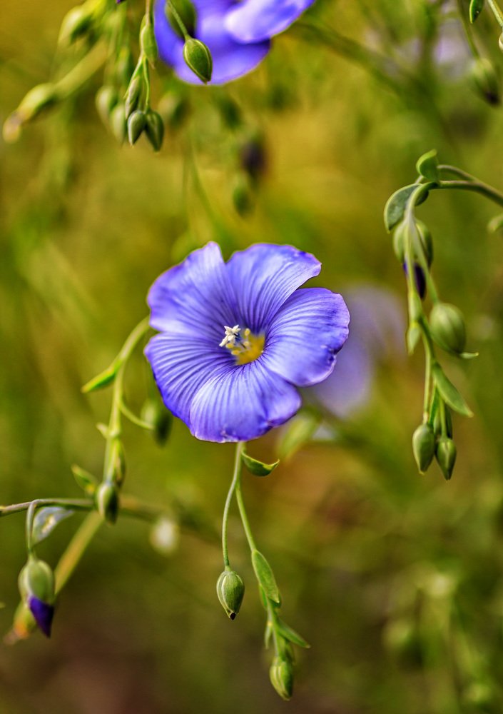 Photograph by Victor Pruhnitskiiy