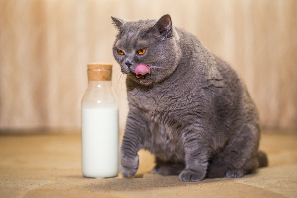 Photograph by Андрей Лекомцев