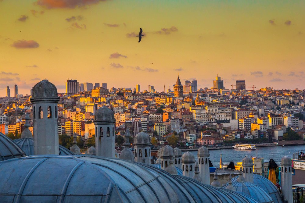 Photograph by Yakov Zak