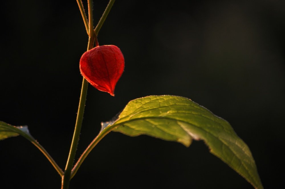 Photograph by Юрий Олейников