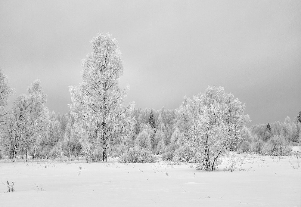 Photograph by Марина Брыдня