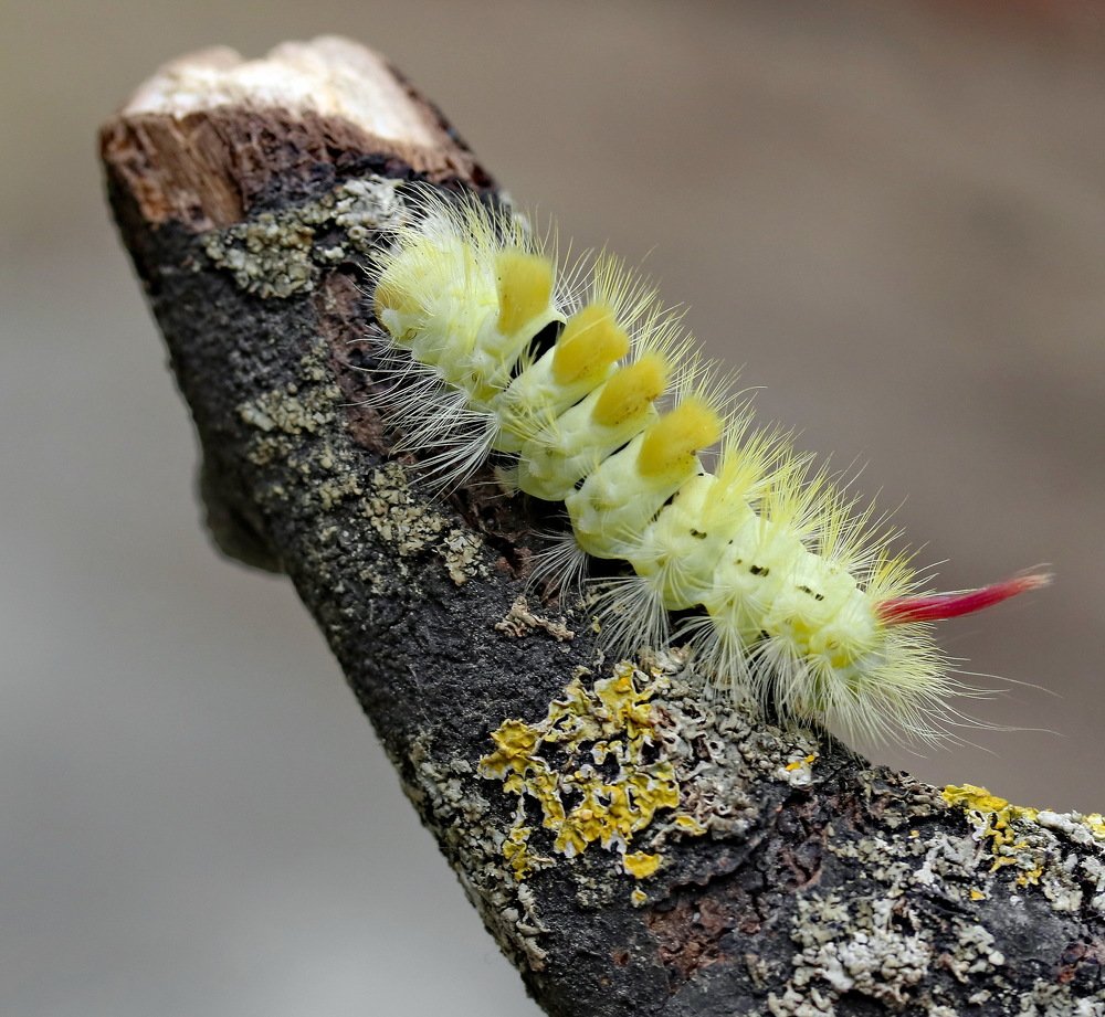 Photograph by Игорь Осипов