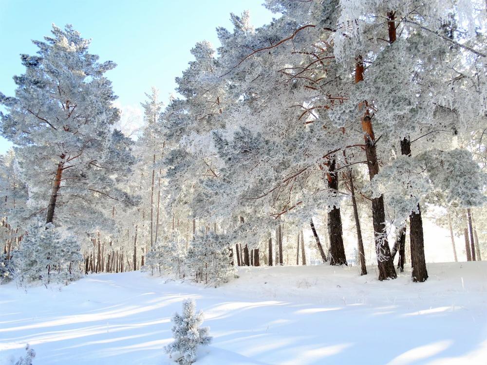 Photograph by Вячеслав Розмин