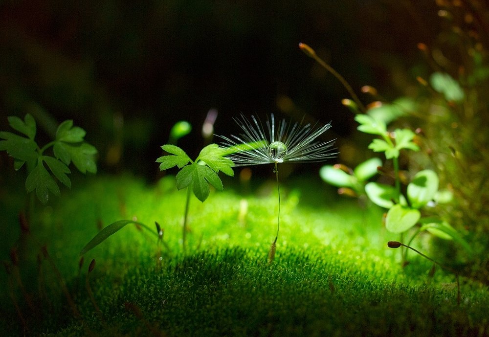 Photograph by Марина Брыдня