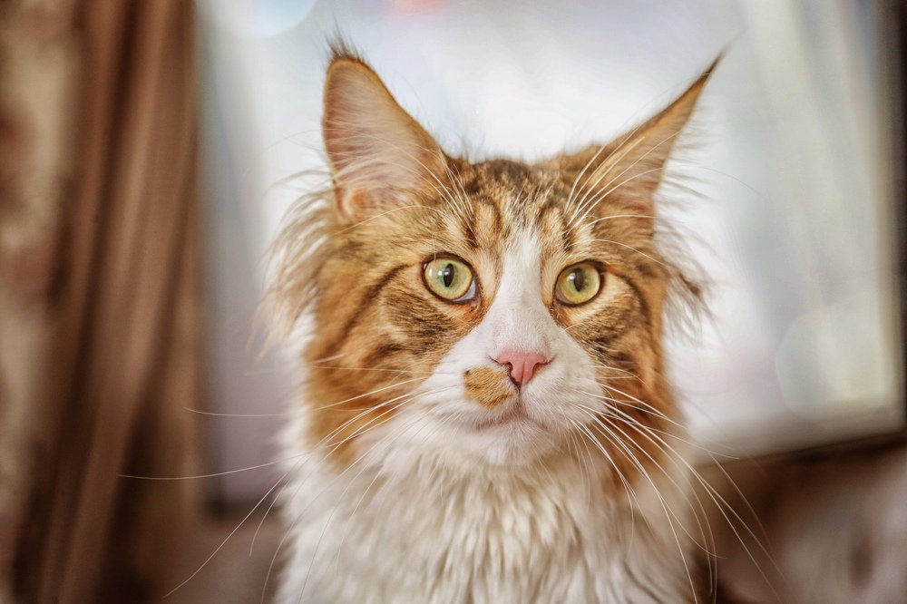 Photograph by Мария Самохина