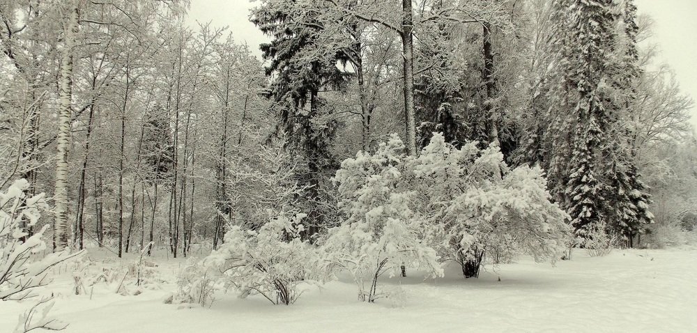 Photograph by Вячеслав Розмин