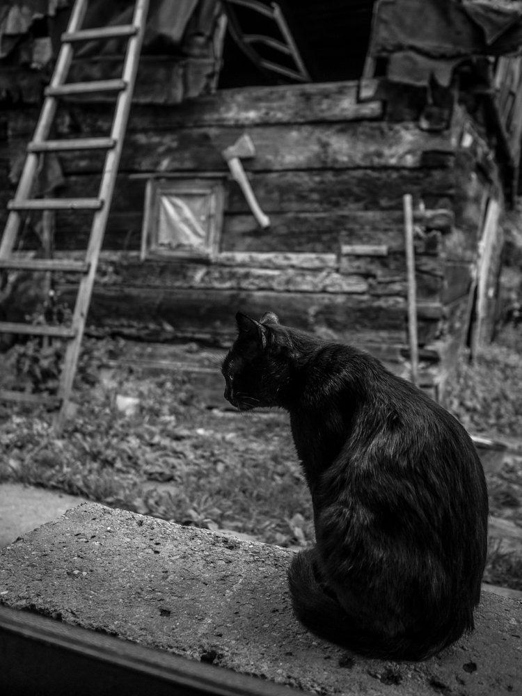 Photograph by Александр Губарев