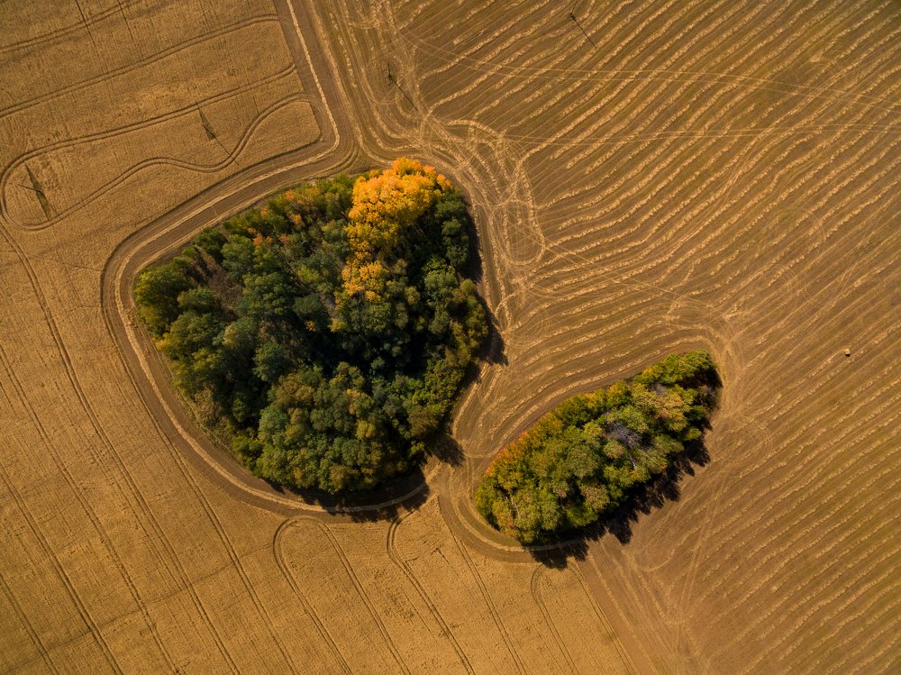 Photograph by Евгений Гецев