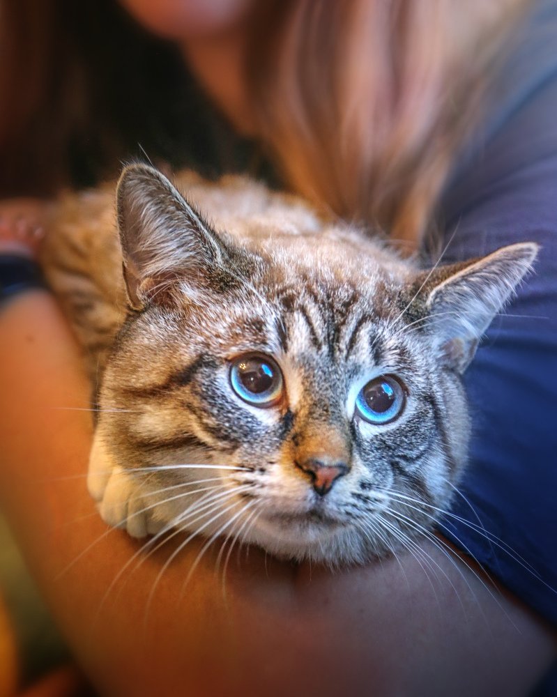 Photograph by Мария Самохина