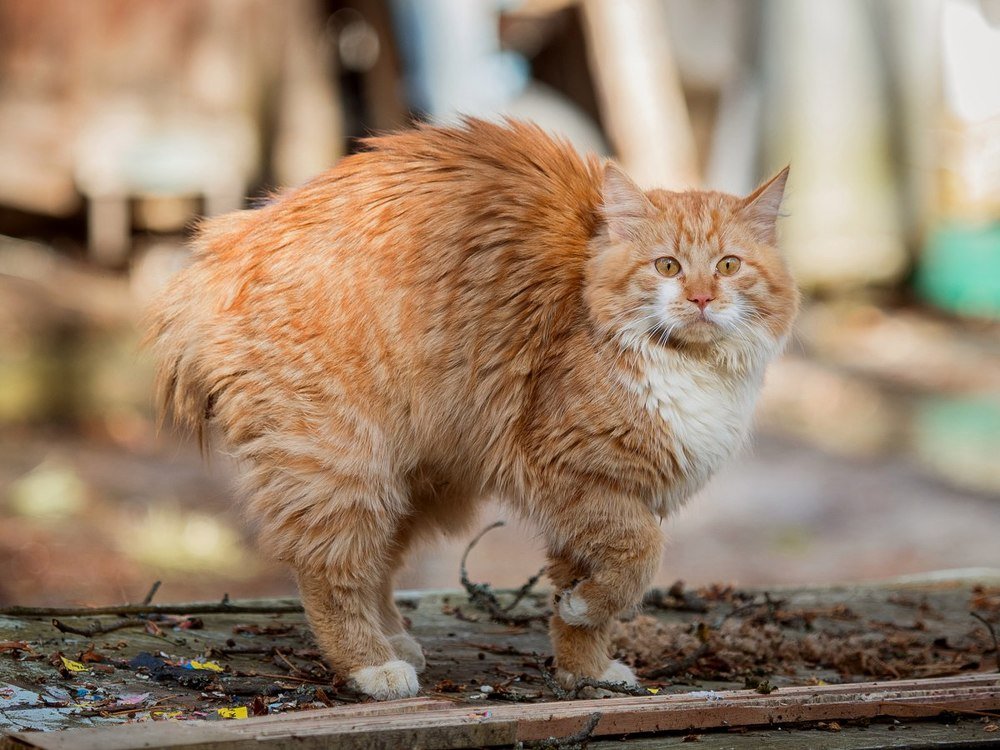 Photograph by Александр Губарев