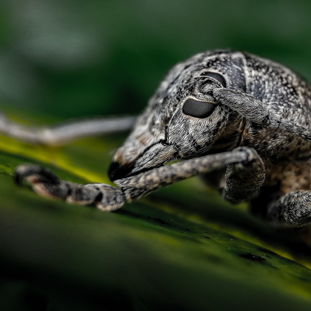 Photograph by Kelvin Lagrana