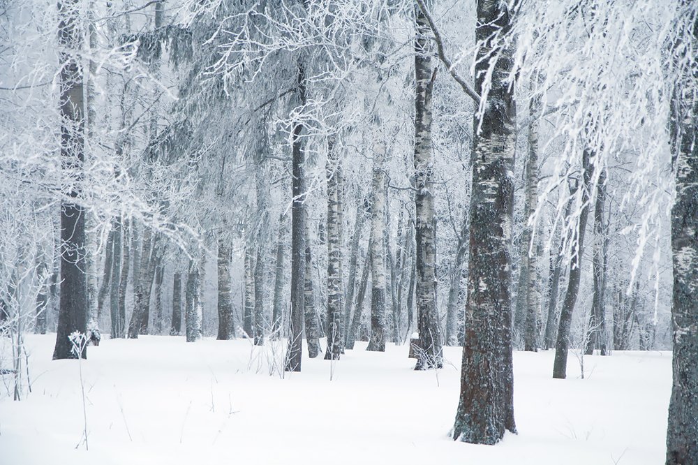 Photograph by Виктория