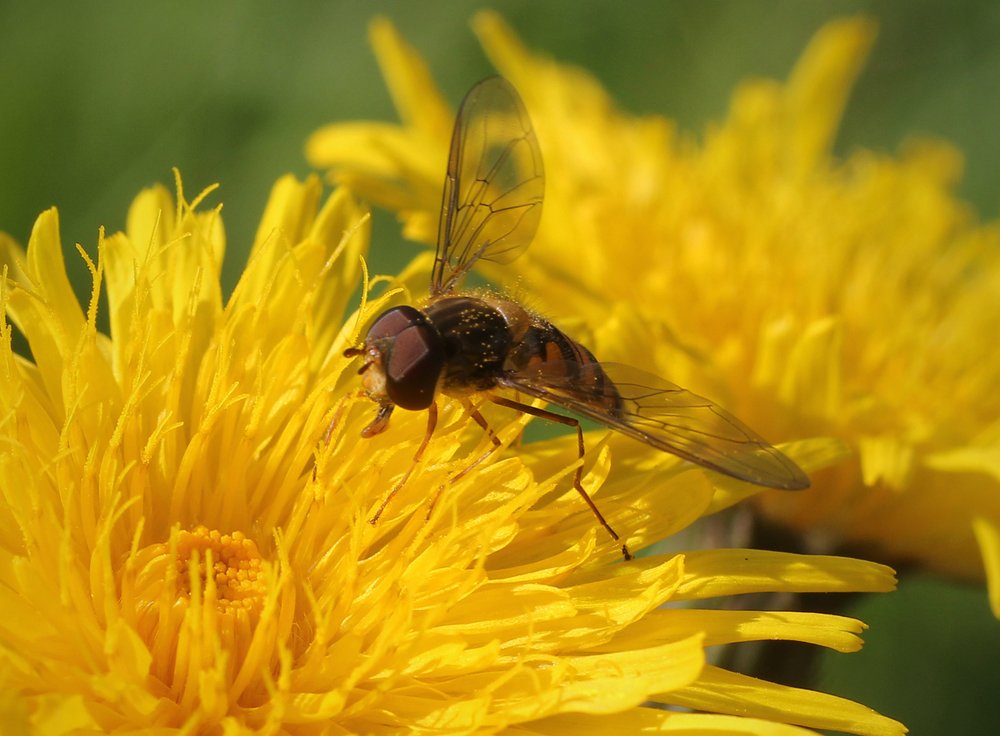Photograph by Виталий Першин