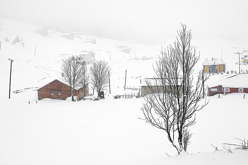 Photograph by Cemal Kaldirim