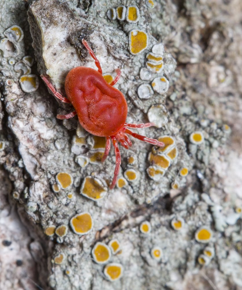 Photograph by Владимир Богданов