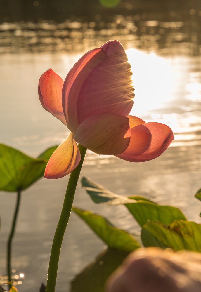 Фотография автора Vladimir Bragilevsky