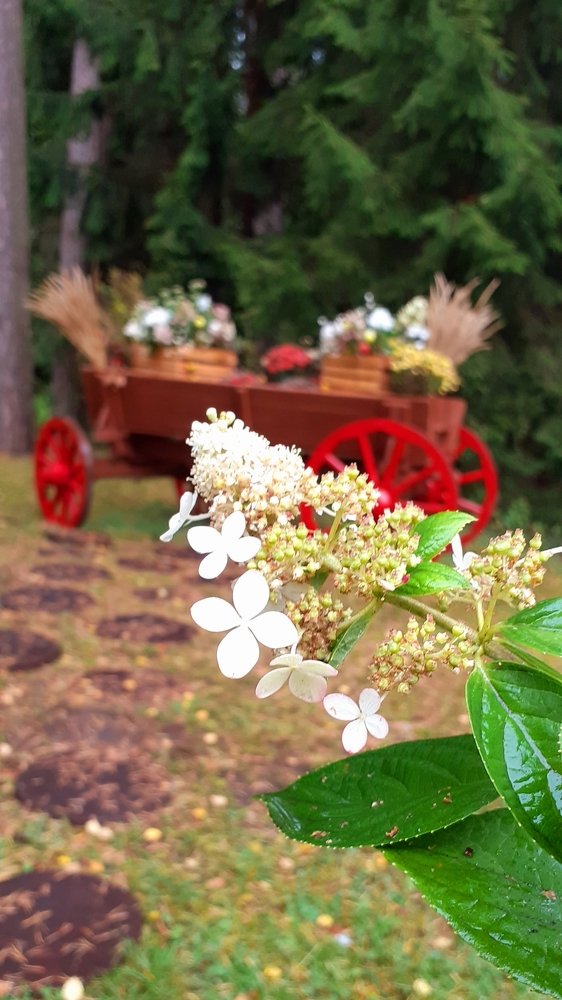 Photograph by Любовь Макарова