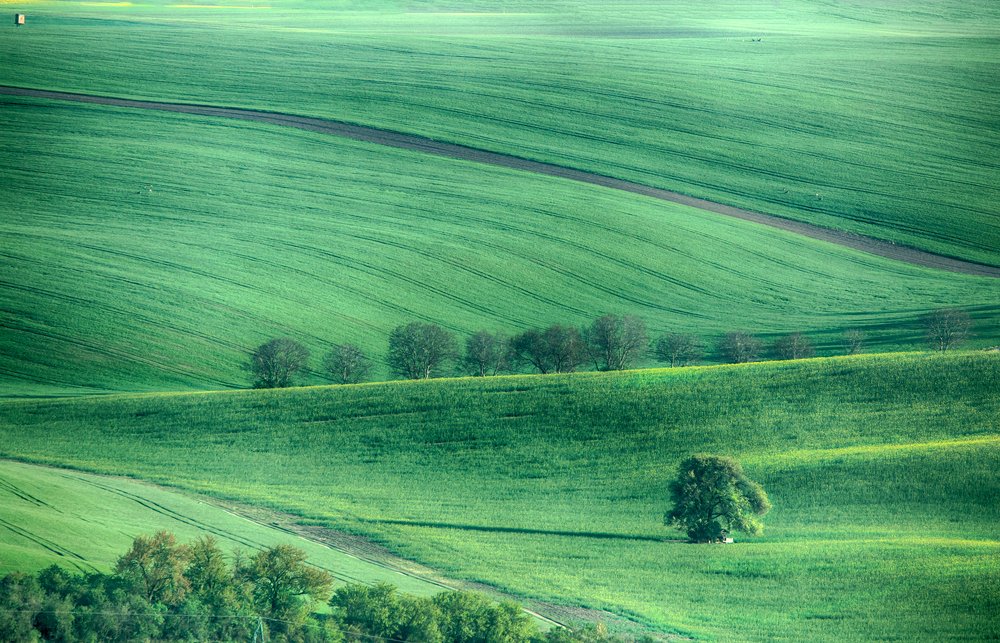 Фотография автора Людмила Прокофьева