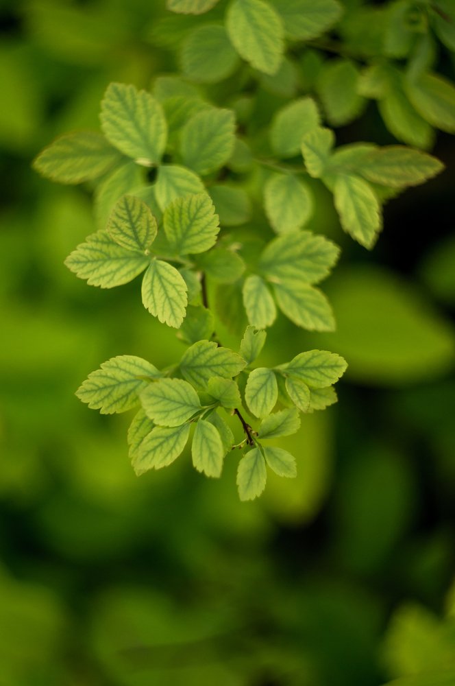 Photograph by Наталья