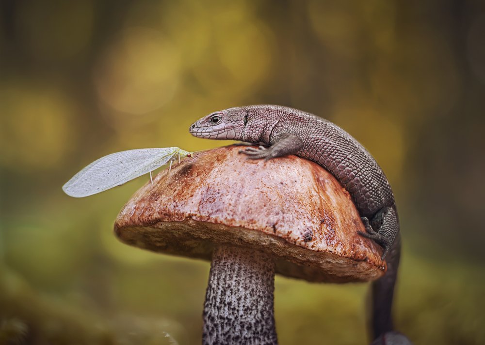 Места всем хватит!