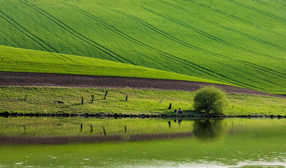 Фотография автора Людмила Прокофьева