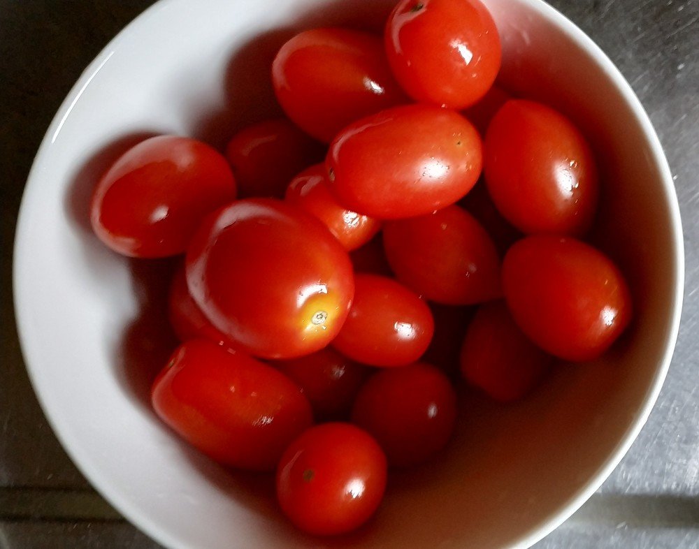 Photograph by Monica Macri