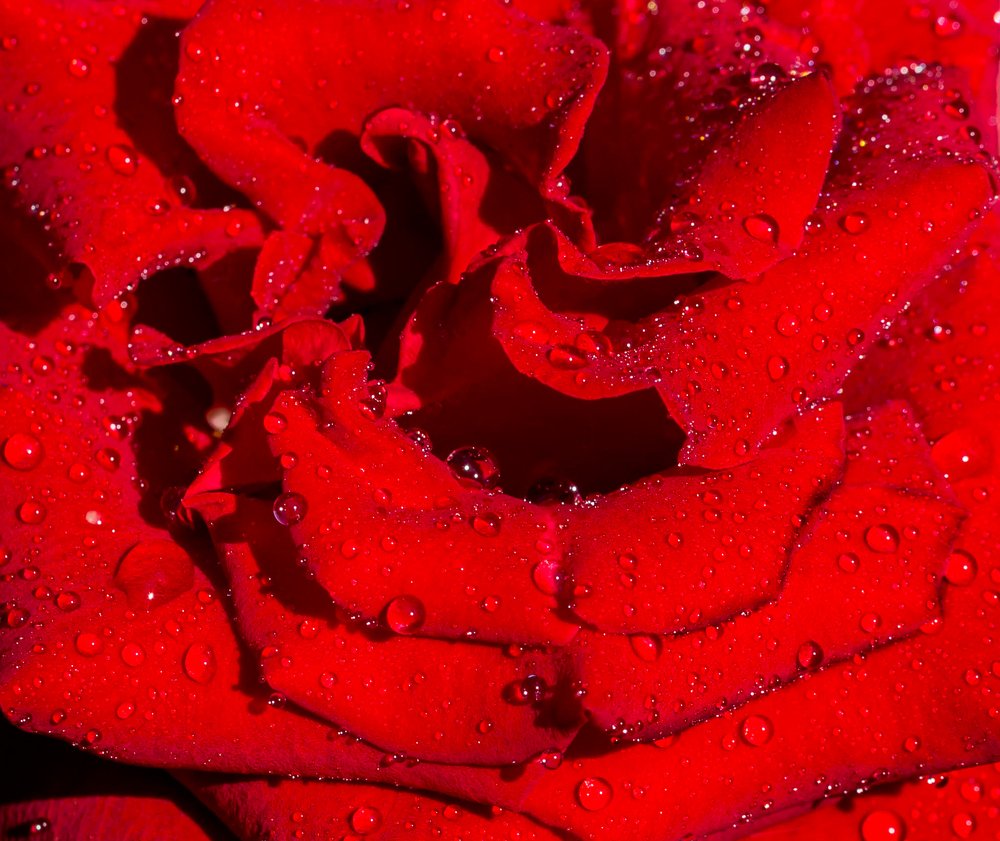 Фотография автора Людмила Прокофьева