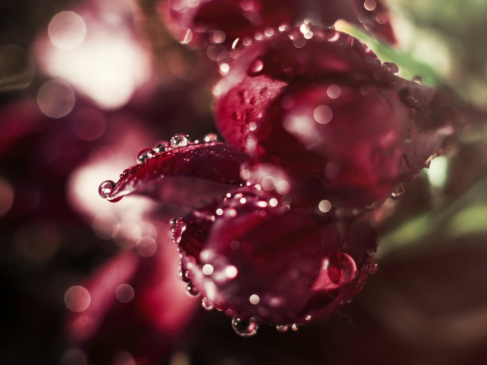 Photograph by Анастасия Третьякова