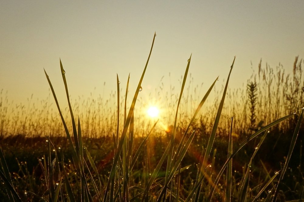 Фотография автора Piratantoha