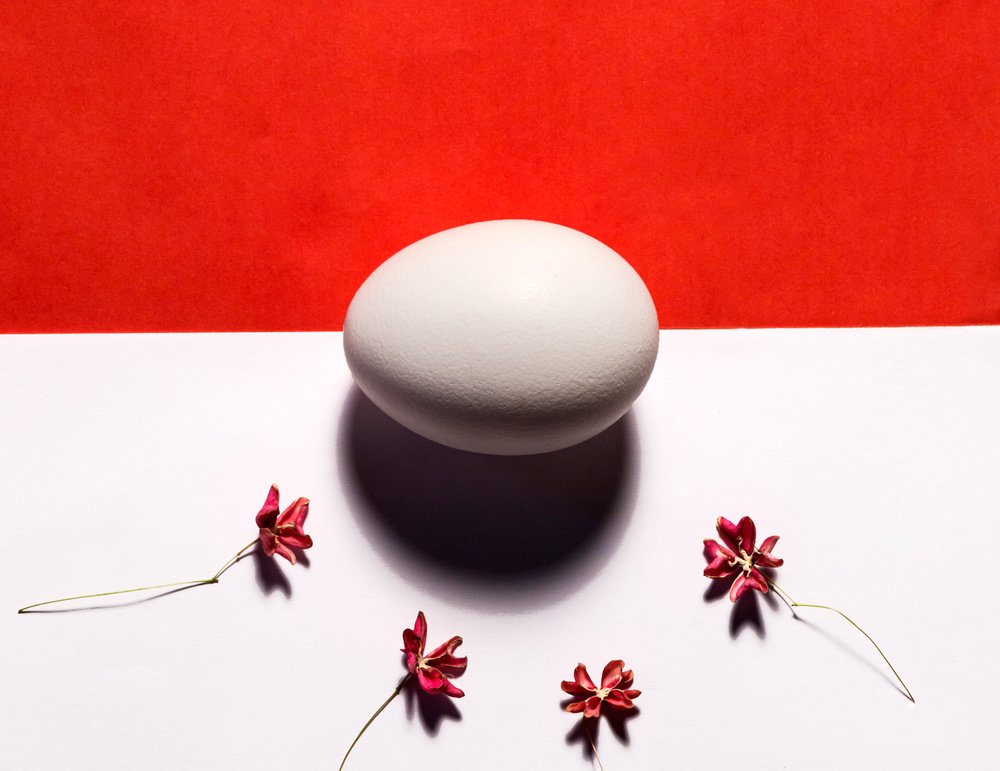 Фотография автора Людмила Прокофьева