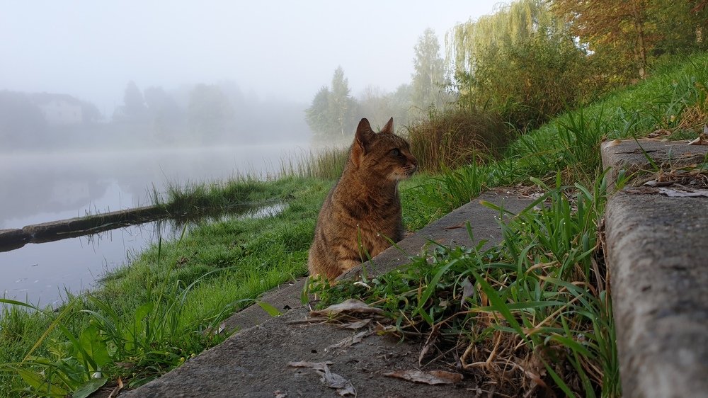 Photograph by Инга