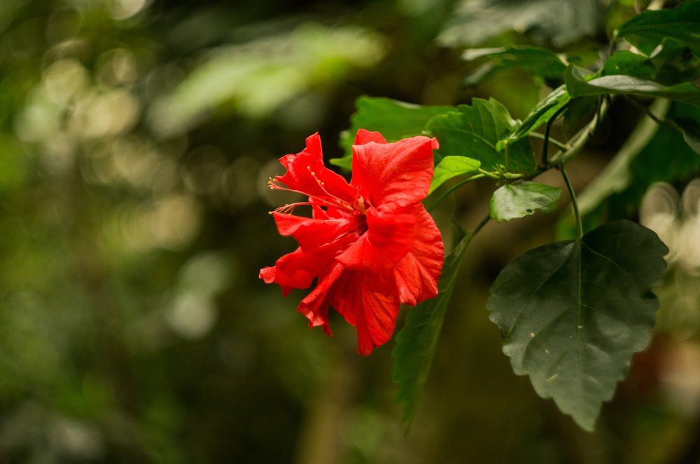 Photograph by Наталья