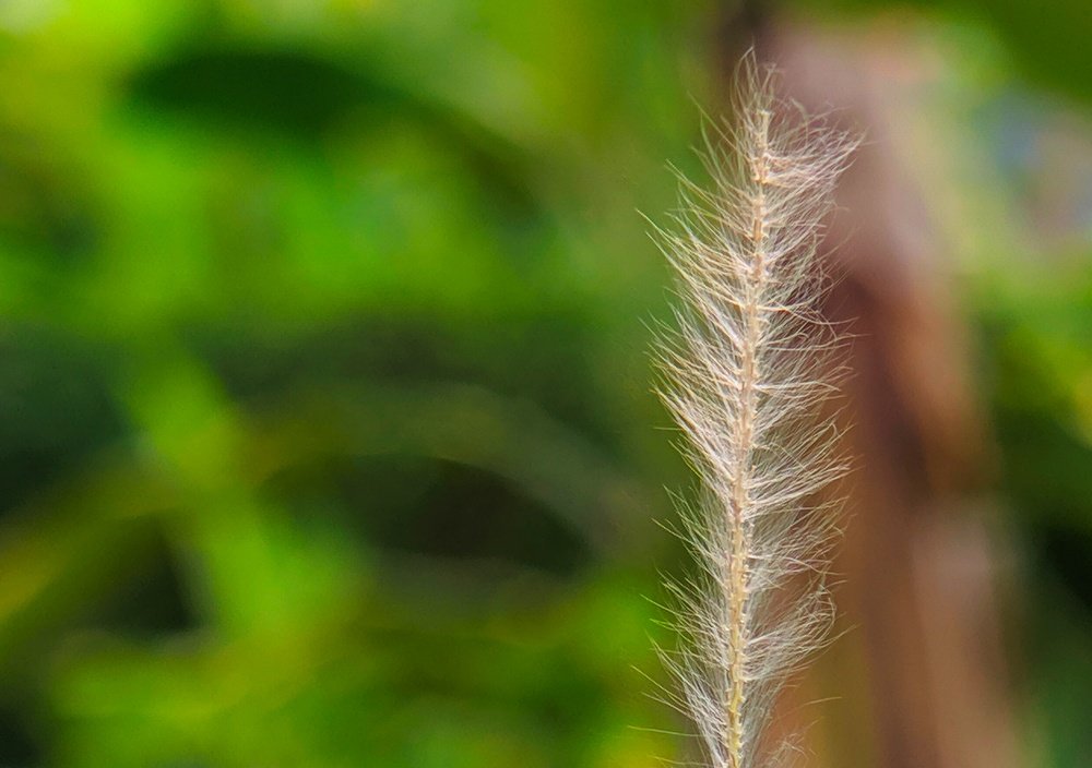 Photograph by Tavip Tavip Budiono Hadisoeprapto